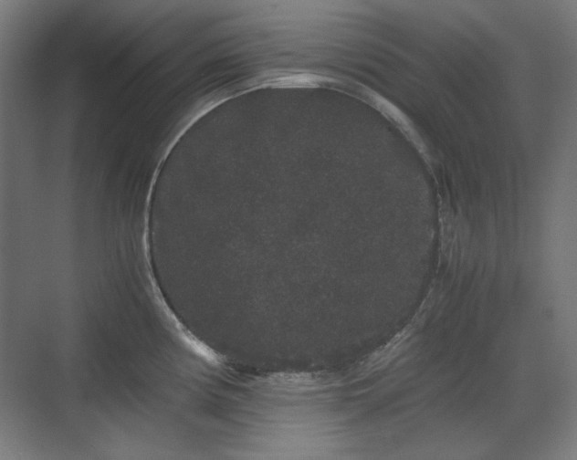 X0000071901194200607141326