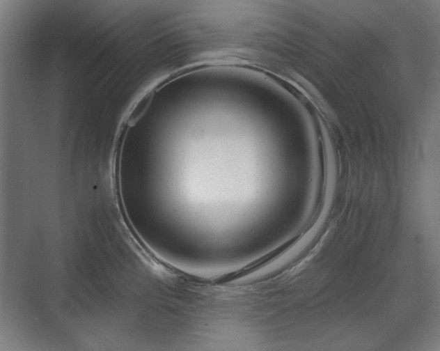 X0000071901196200607141326