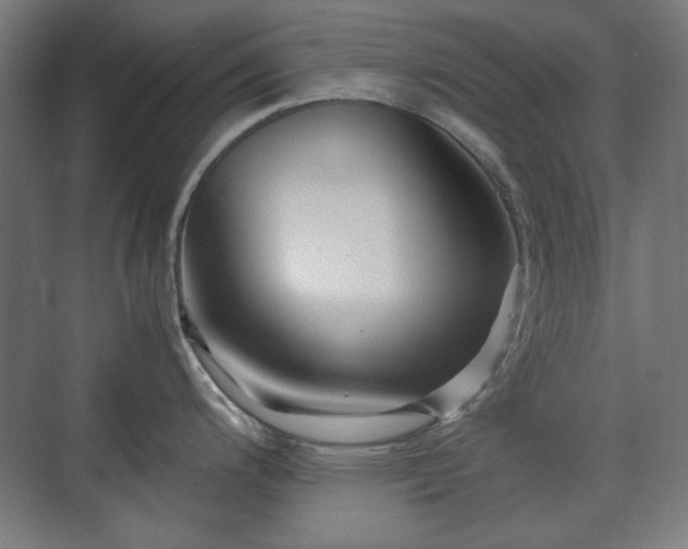 X0000071901200200607141326