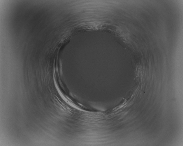 X0000071901202200607141325