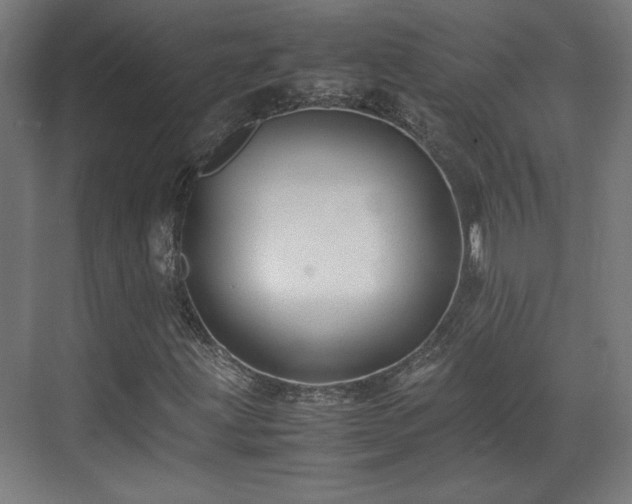 X0000071901203200607141325