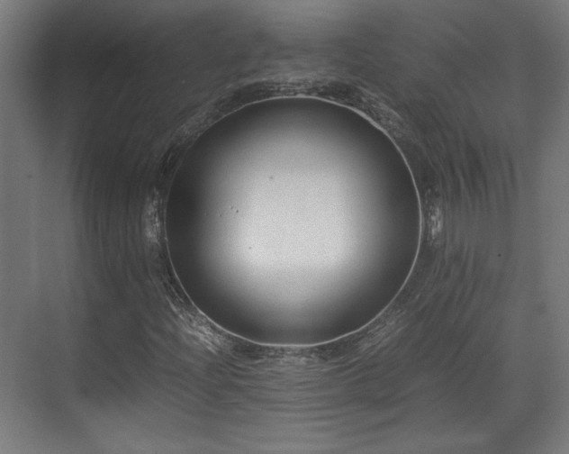 X0000071901204200607141325