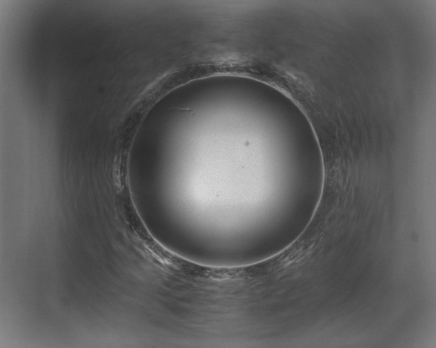 X0000071901205200607141325