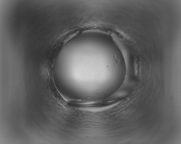 X0000071901206200607141325