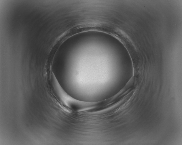 X0000071901210200607141325