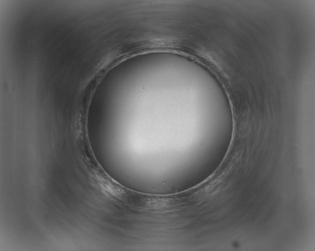 X0000071901211200607141325
