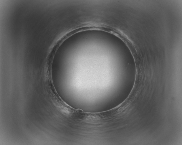 X0000071901215200607141325