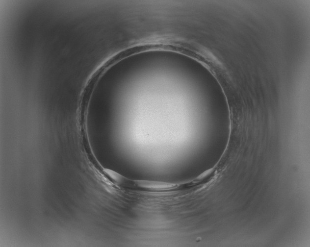 X0000071901216200607141326