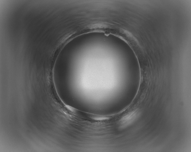 X0000071901217200607141326