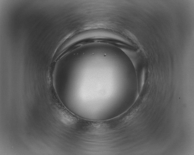 X0000071901218200607141326