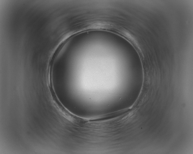 X0000071901227200607141326
