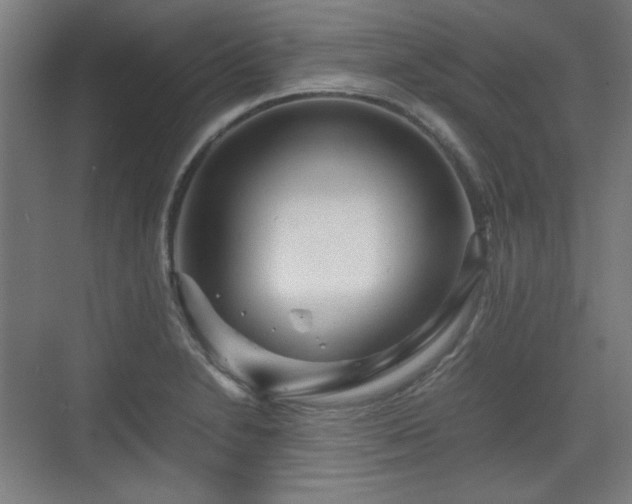 X0000071901230200607141326
