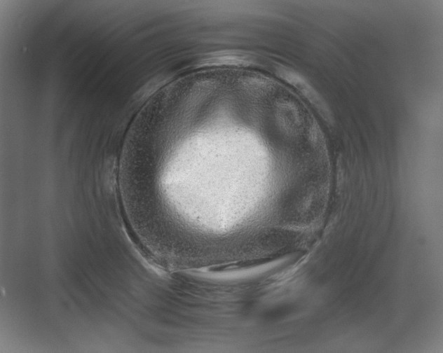 X0000071901233200607141326