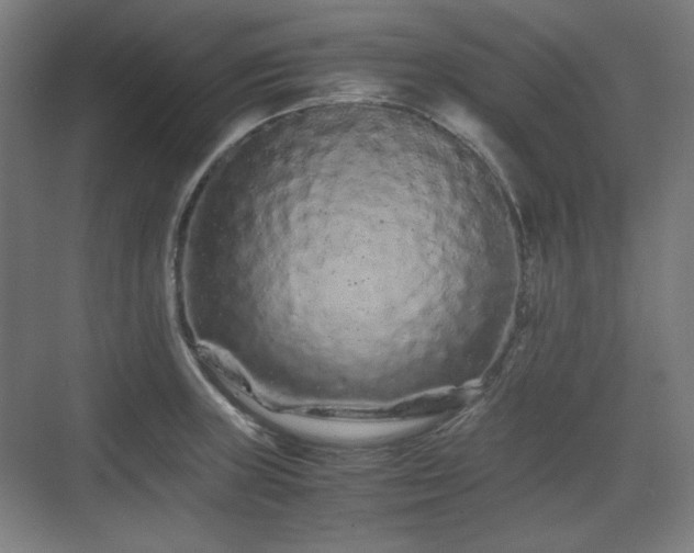 X0000071901235200607141326