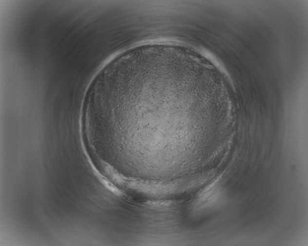 X0000071901237200607141326