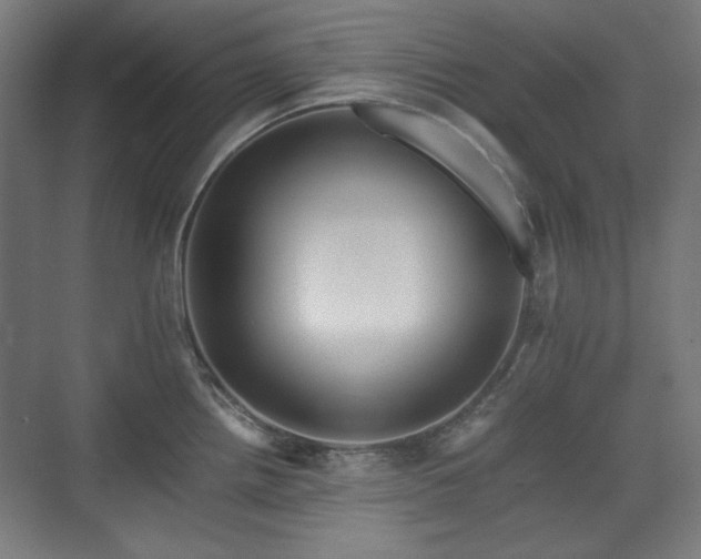 X0000071901242200607141326