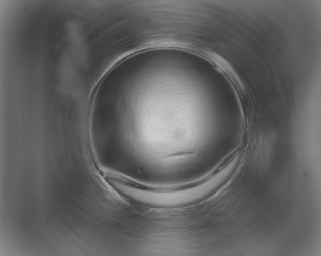 X0000071901244200607141326