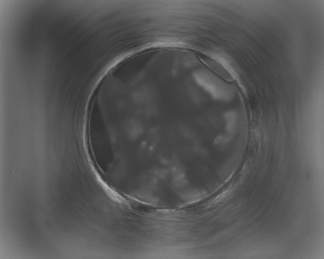 X0000071901245200607141326
