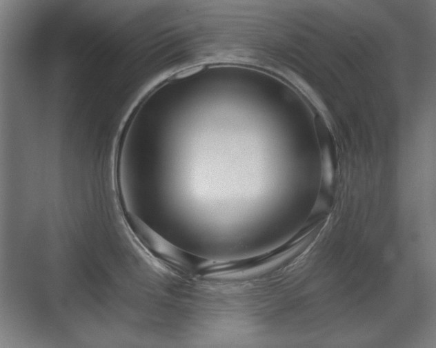 X0000071901246200607141326