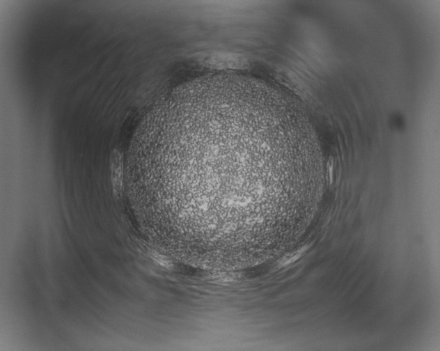 X0000071901251200607141325