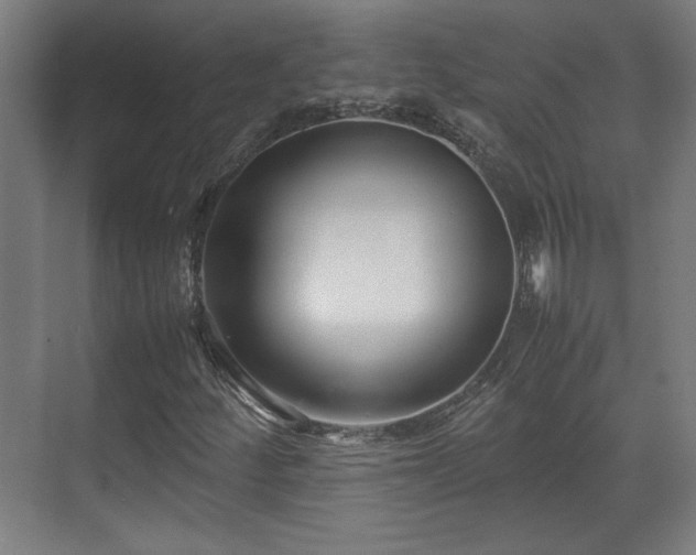 X0000071901252200607141325