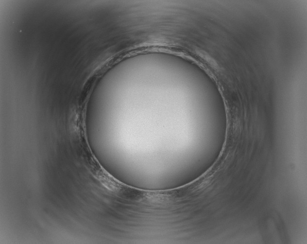 X0000071901258200607141325