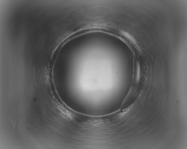 X0000071901260200607141325