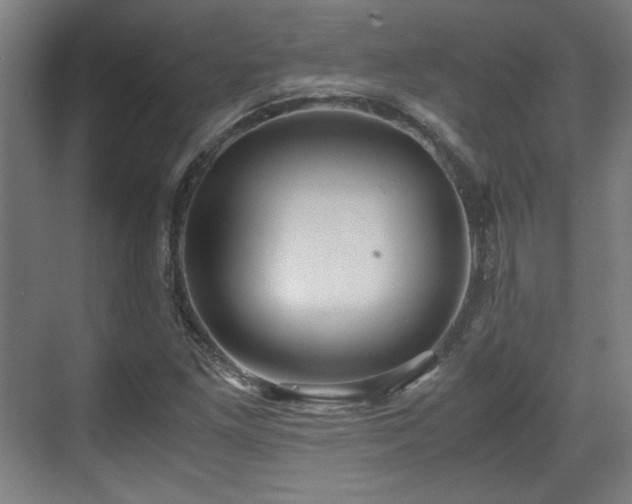 X0000071901261200607141325