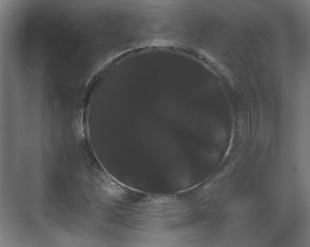X0000071901262200607141325