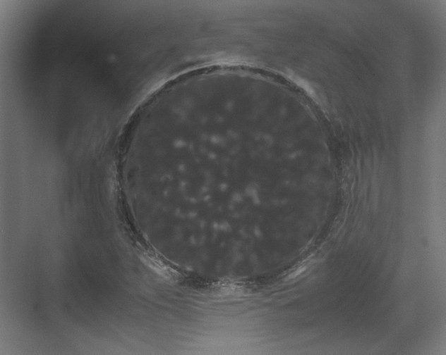 X0000071901263200607141325