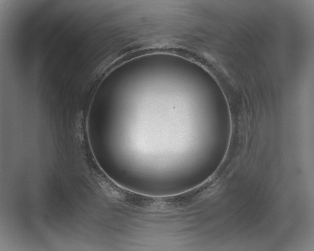 X0000071901265200607141325