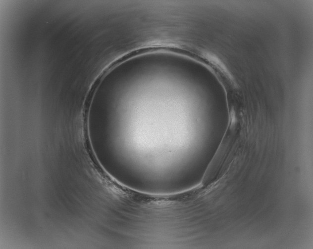 X0000071901268200607141325