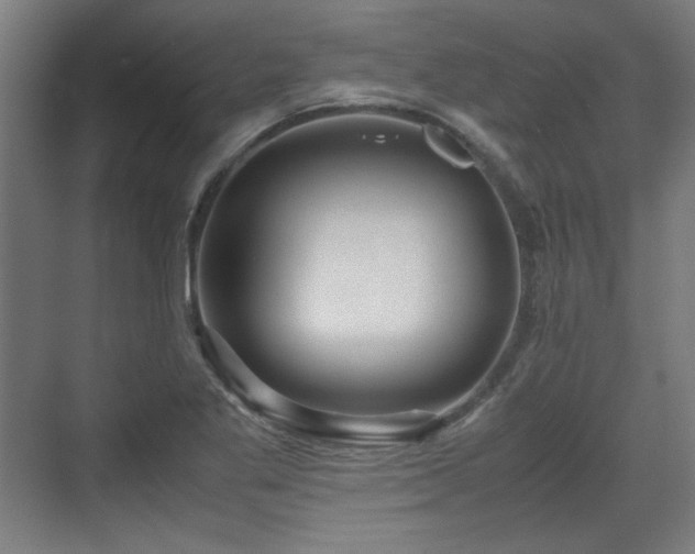 X0000071901269200607141325