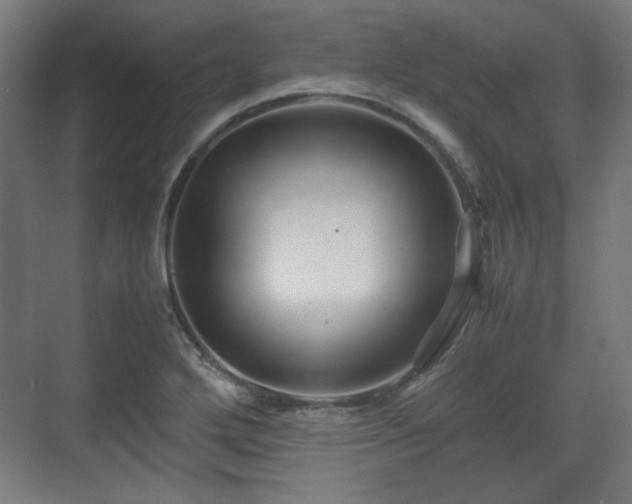 X0000071901272200607141325