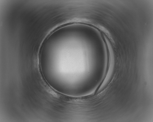 X0000071901280200607141325