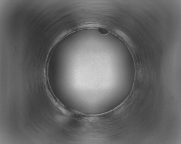 X0000071901282200607141325