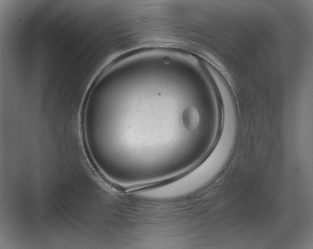 X0000071901283200607141325