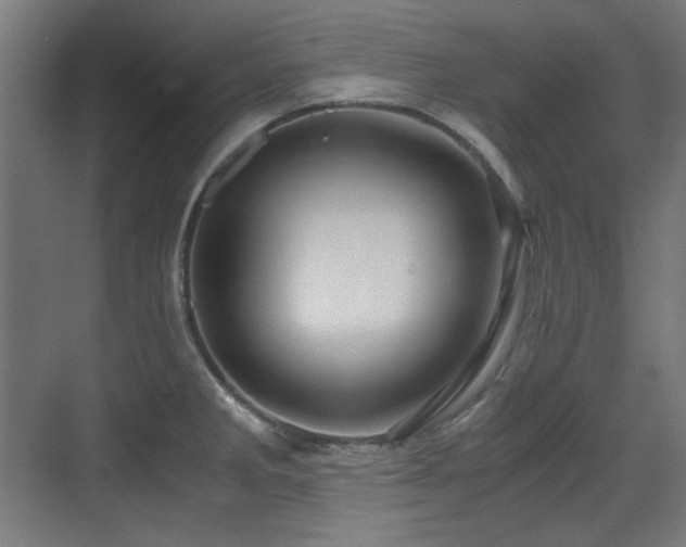 X0000071901285200607141325