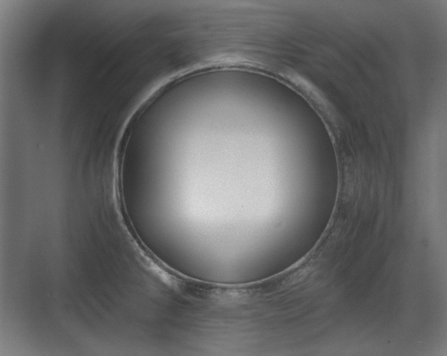 X0000071901286200607141325