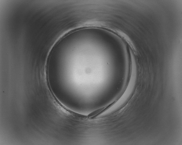 X0000071901288200607141325