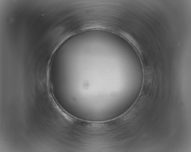 X0000071901290200607141325