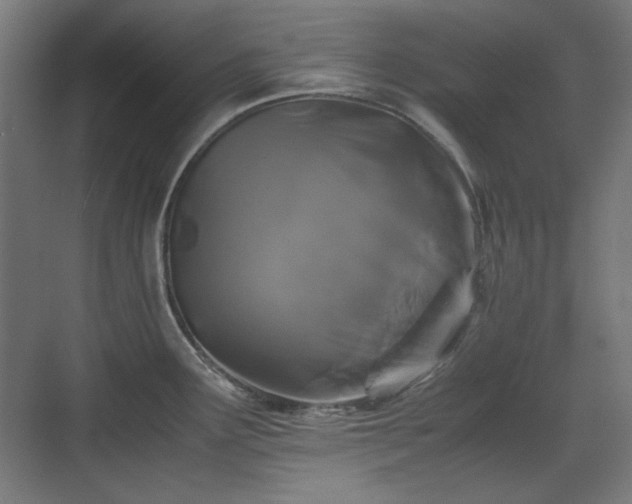 X0000071901291200607141325