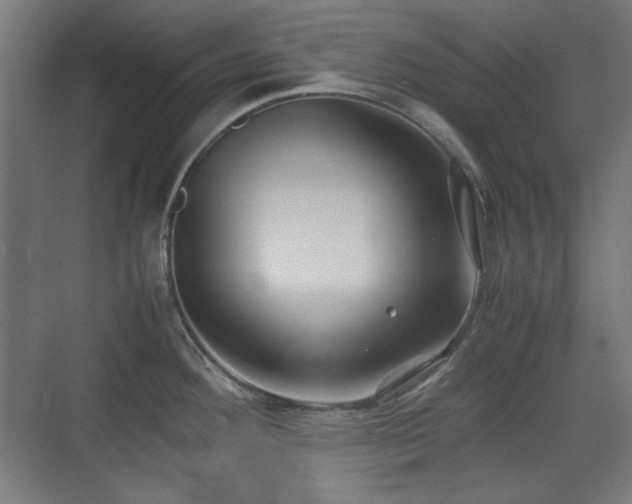 X0000071901292200607141325