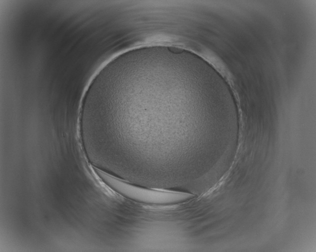 X0000071901296200607141324