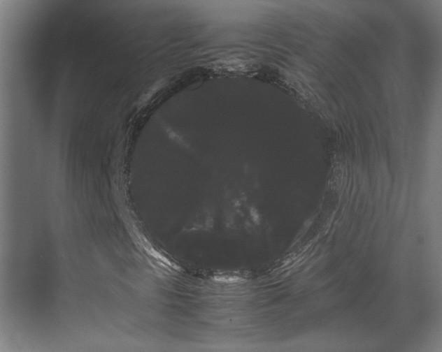 X0000071901297200607141324
