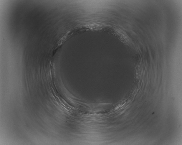 X0000071901298200607141324