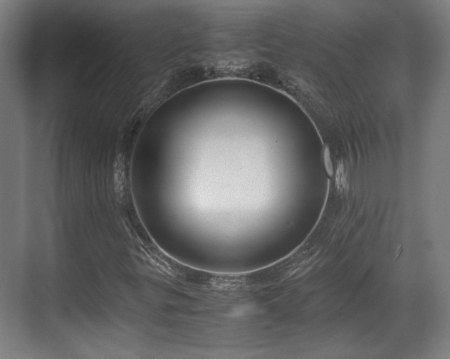 X0000071901299200607141324