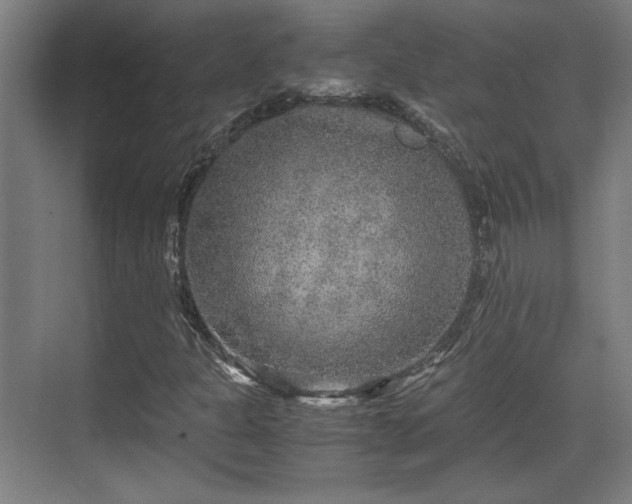 X0000071901301200607141324