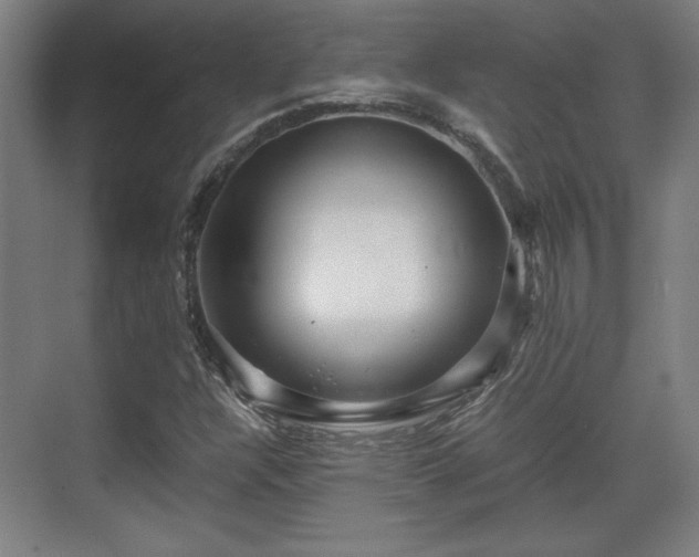 X0000071901304200607141324