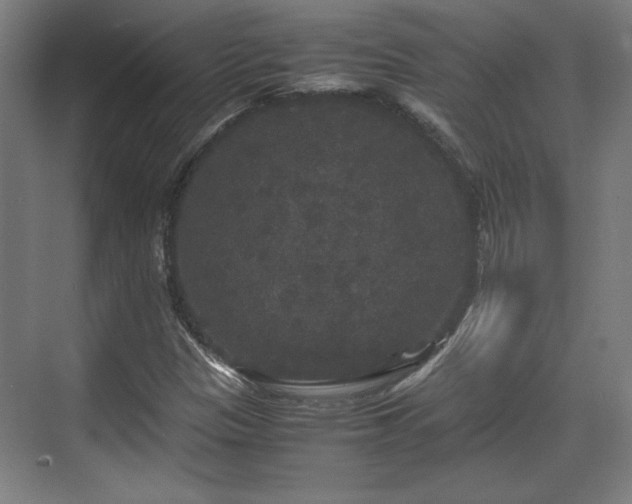 X0000071901305200607141324